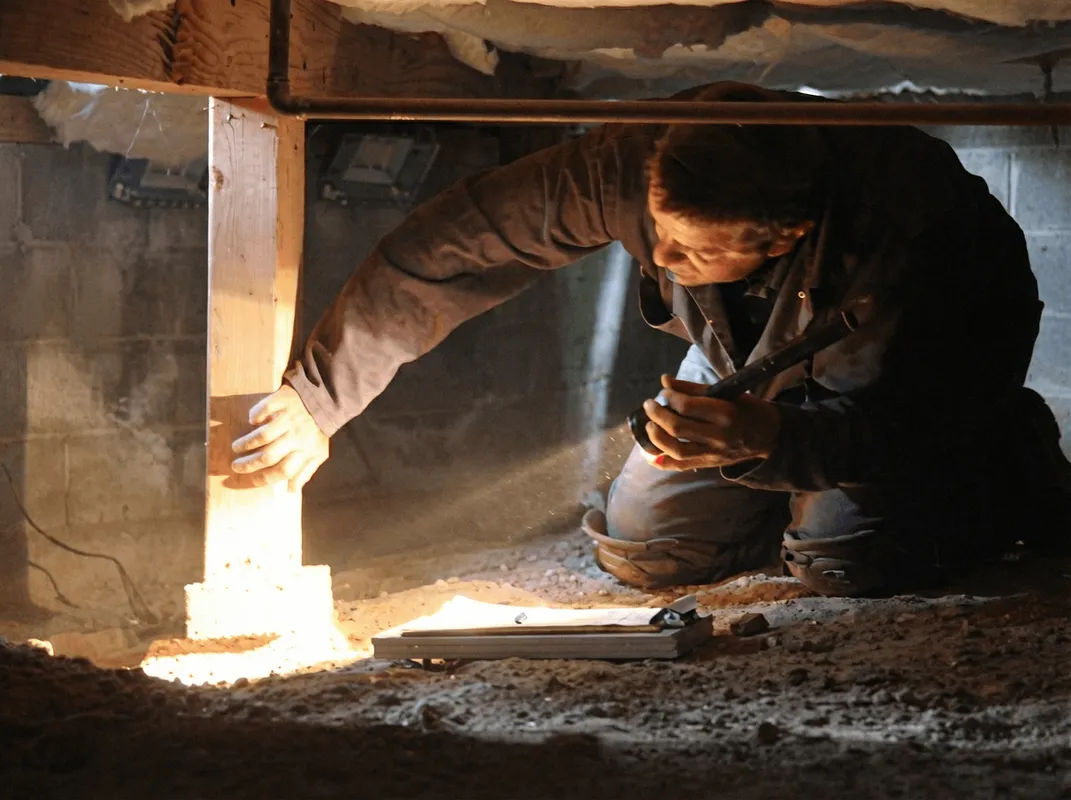 A professional inspecting wooden beams under the floor of a structure in Cambridge, MA